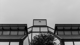ɵϵ֤